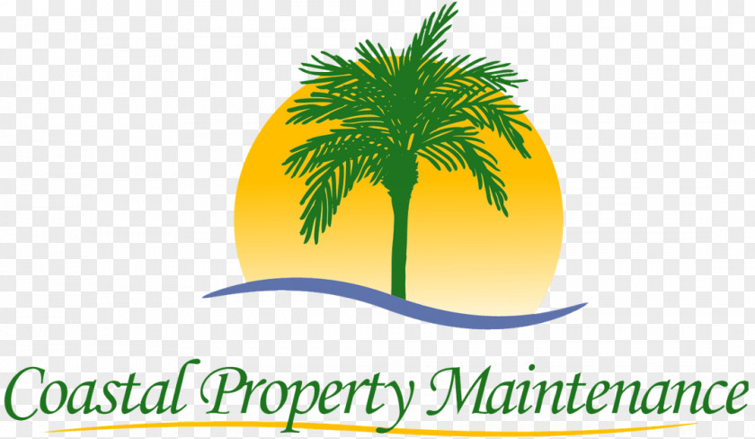 Date Palm Destin Logo Trees Brand PNG