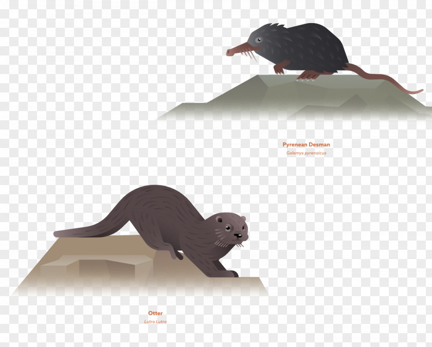Lai Rat Painted Animals, Water Mouse Illustration PNG