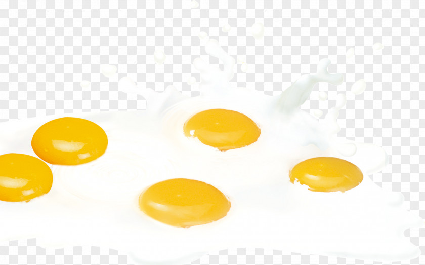 Milk, Egg Yolk Yellow PNG