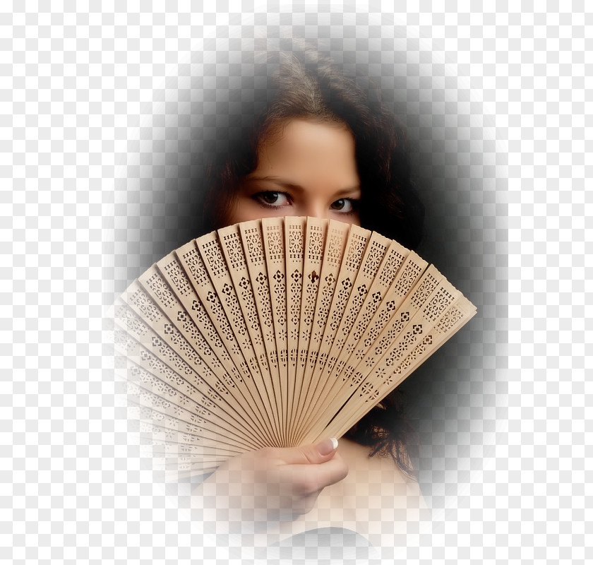 Painting Lady With Fan Information PNG