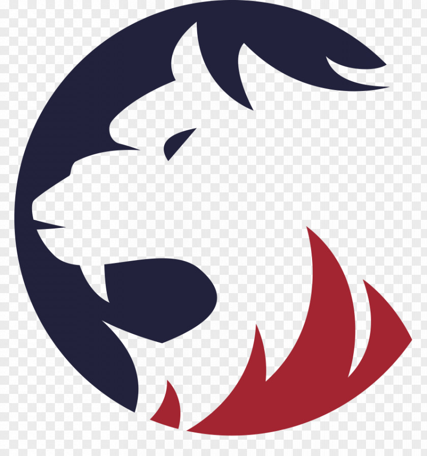 TEAM WORK Tiger Logo Sport PNG