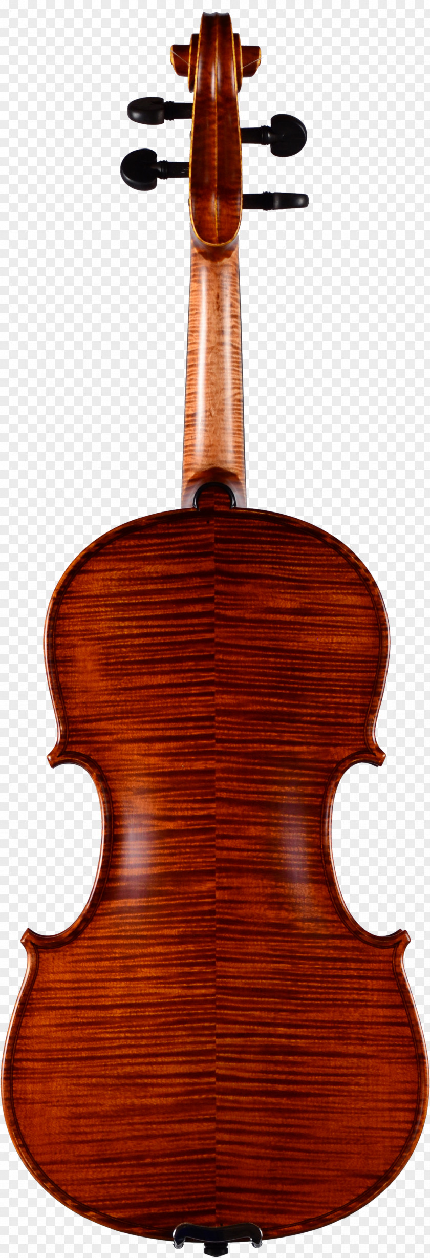 Violin Player Luthier Stradivarius Musical Instruments Bow PNG
