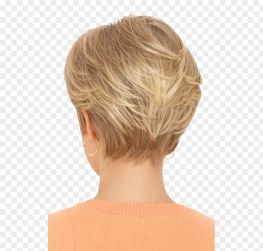 Front Wigs Material Hairstyle Wig Hair Coloring Blond PNG