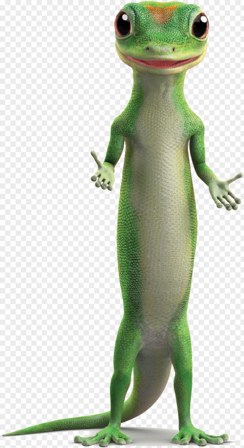 Lizard GEICO Advertising Campaigns Gecko Insurance PNG
