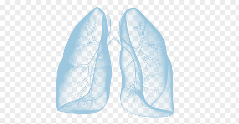 Lung Cancer Walking Shoe PNG