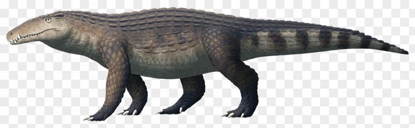 Animals Dinosaur Crocodile Kaprosuchus Tyrannosaurus Terrestrisuchus Araripesuchus PNG