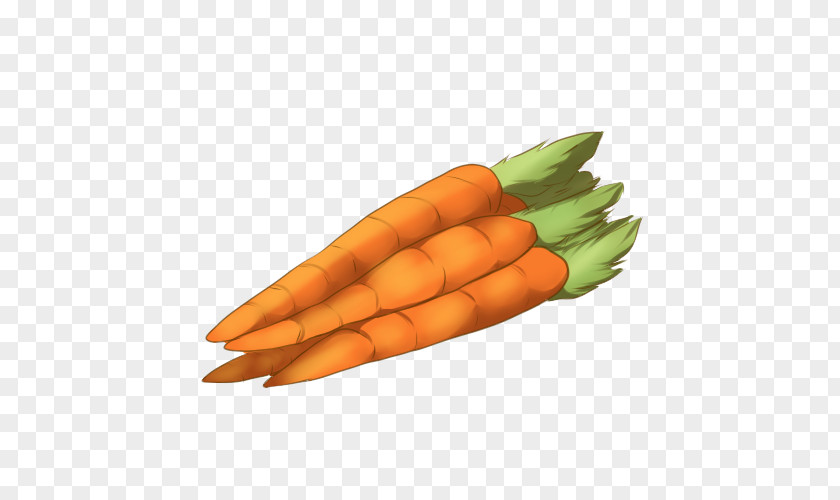 Carrots Baby Carrot Vegetable Food PNG