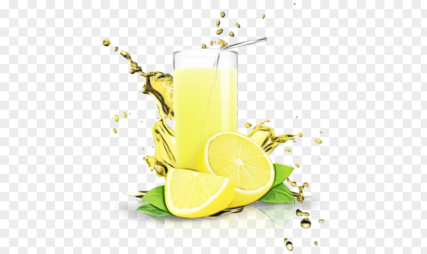 Cocktail Garnish Lemonade Harvey Wallbanger Mint Lemon-lime Drink PNG