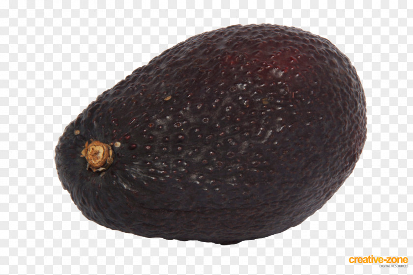Avocato Fruit PNG