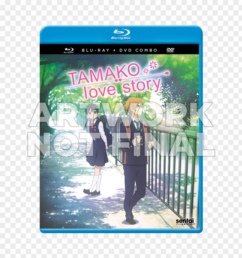 Dvd Blu-ray Disc Tamako Kitashirakawa Film DVD Box Set PNG