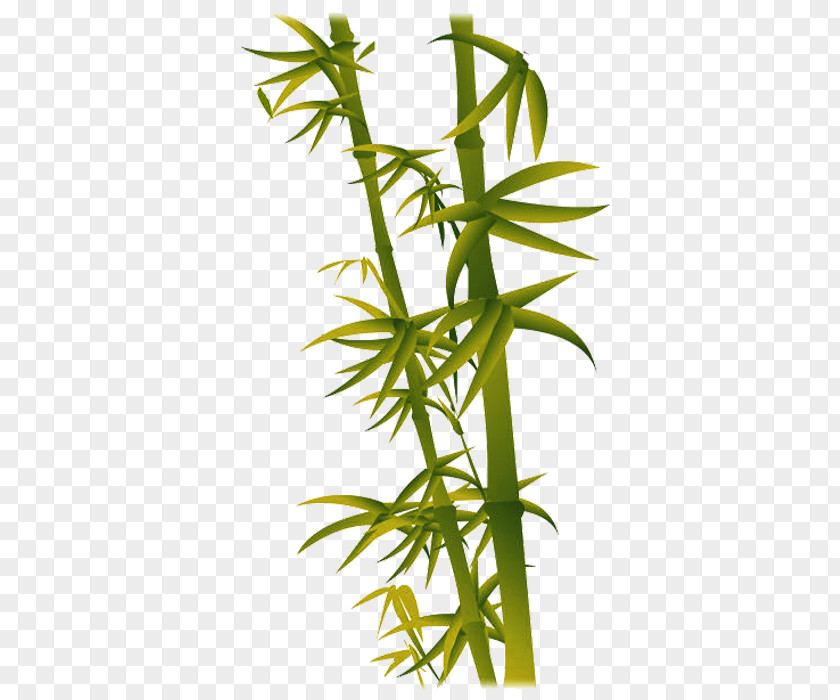 Bamboo If(we) Leaf PNG