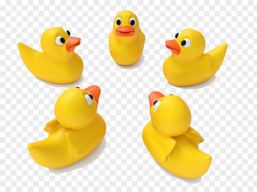 Cute Cartoon Yellow Duck Toy Little Project Rubber PNG