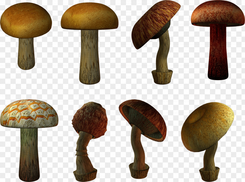 Mushroom Image Common PNG