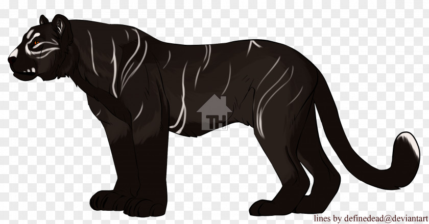 Tiger Lion Black Panther Line Art Cat PNG