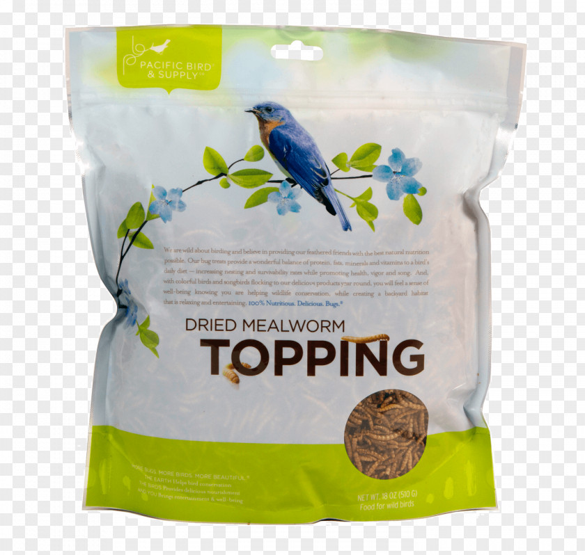 Bird Food Feeders Mealworm Suet PNG