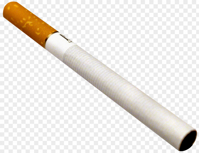 Cigarette Tobacco Plants PNG