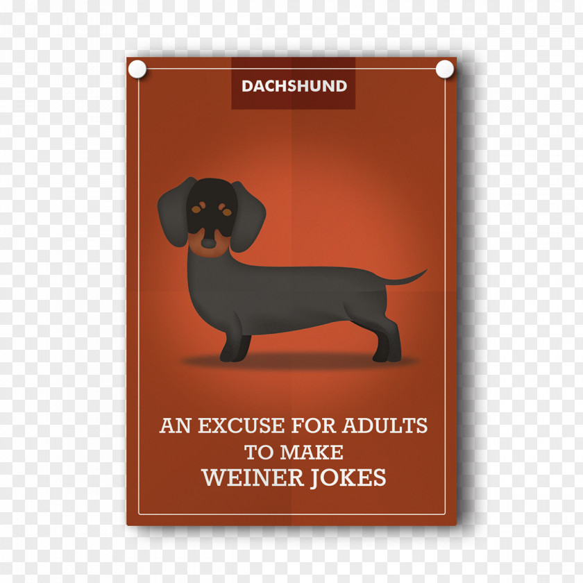 Dachshund Dog Breed Rottweiler Dobermann Pit Bull PNG