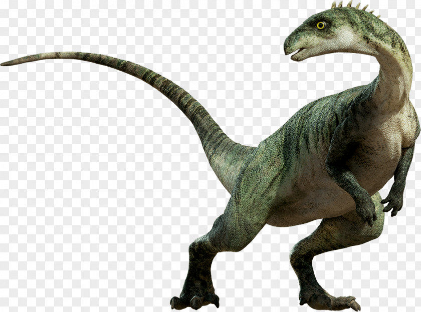 Dinosaur Tyrannosaurus Clip Art PNG