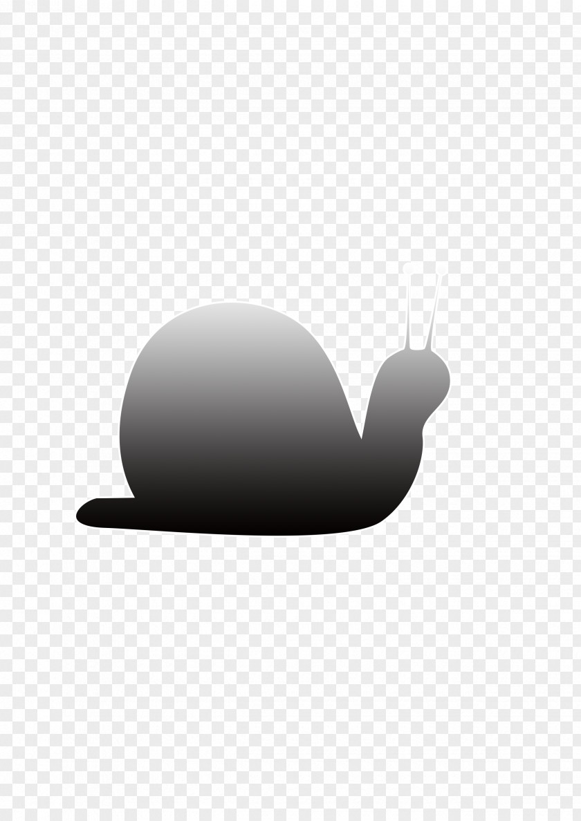 Snail Shape Black And White Pattern PNG