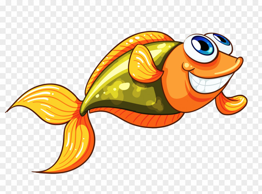 Bony Fish Drawing Clip Art PNG