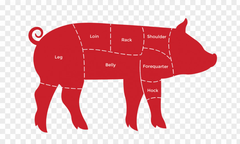Domestic Pig Cattle An Average Vegans Guide To Being Vegan Livestock Rubber Stamping PNG