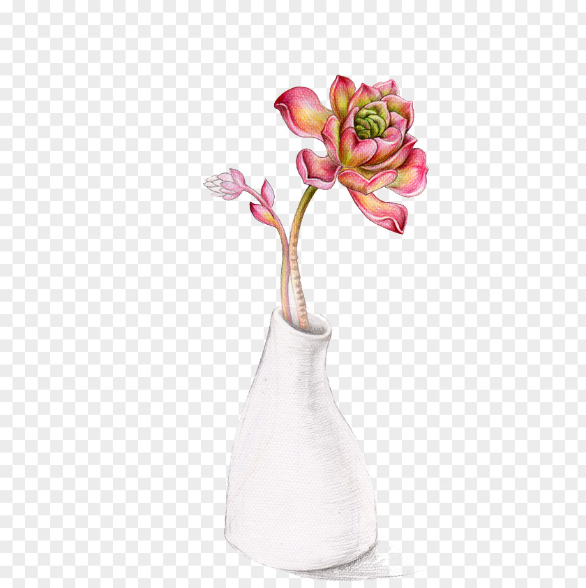 Hand-painted Vases Soil Succulent Plant Vase Euclidean Vector PNG