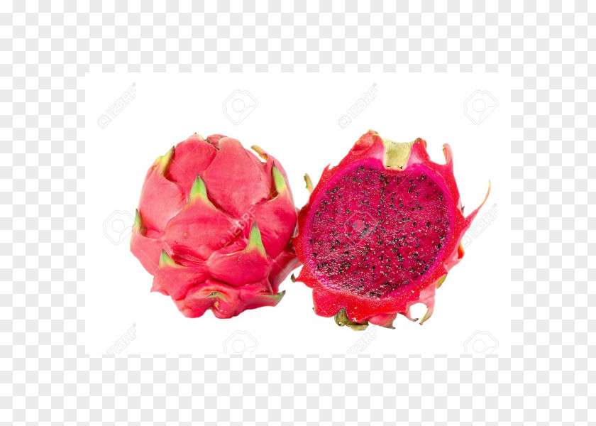 Juice Pitaya Auglis White-fleshed Pitahaya Fruit PNG