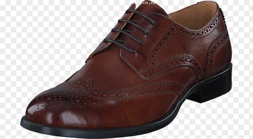 Oxford Shoe Leather Blue White PNG