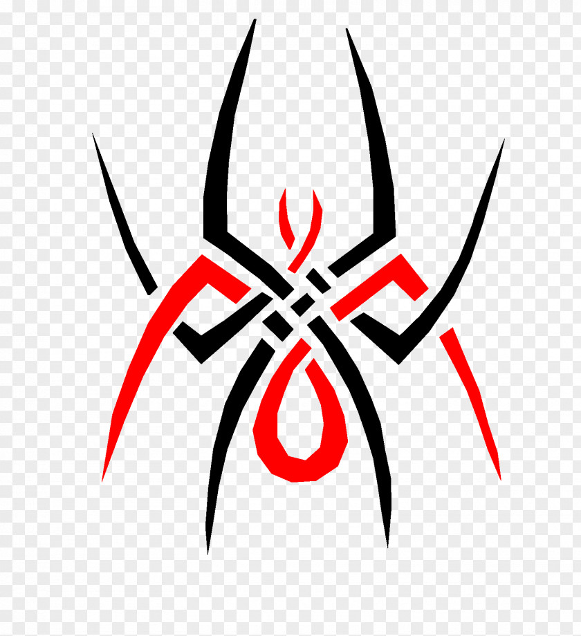 Spider Tattoo Drawing PNG