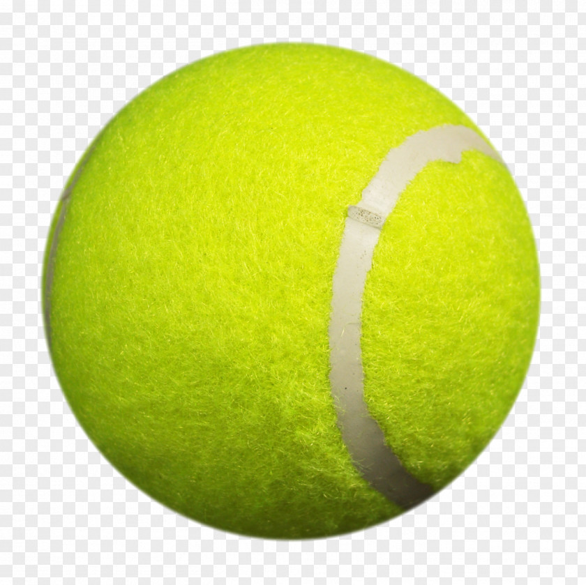 Tennis Ball Cricket Green PNG