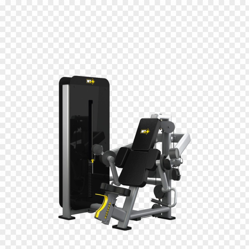 Biceps Curl Weightlifting Machine Fitness Centre Bodybuilding Technology PNG
