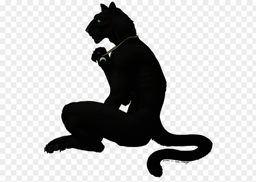 Black Panther Necklace Cat Art Legendary Creature PNG