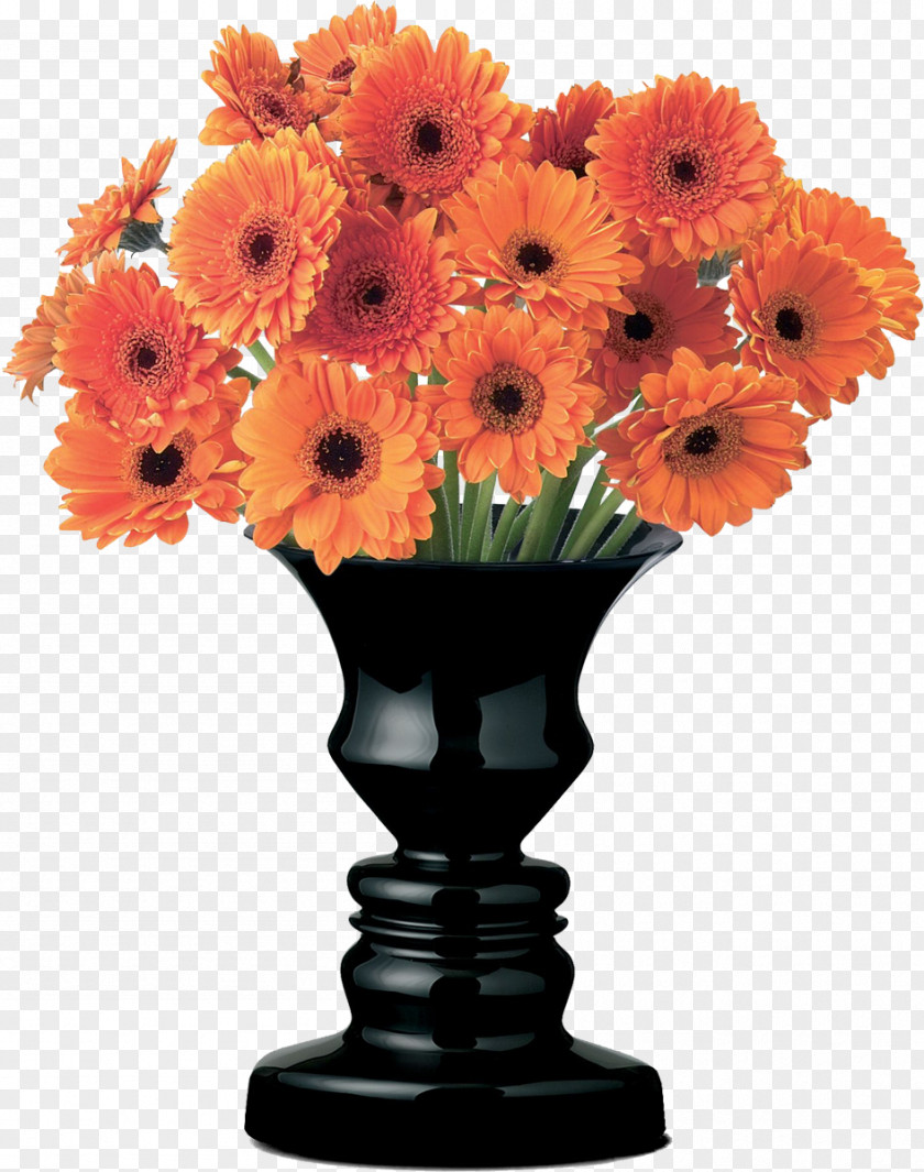 Gerbera Transvaal Daisy Cut Flowers Vase Chrysanthemum PNG