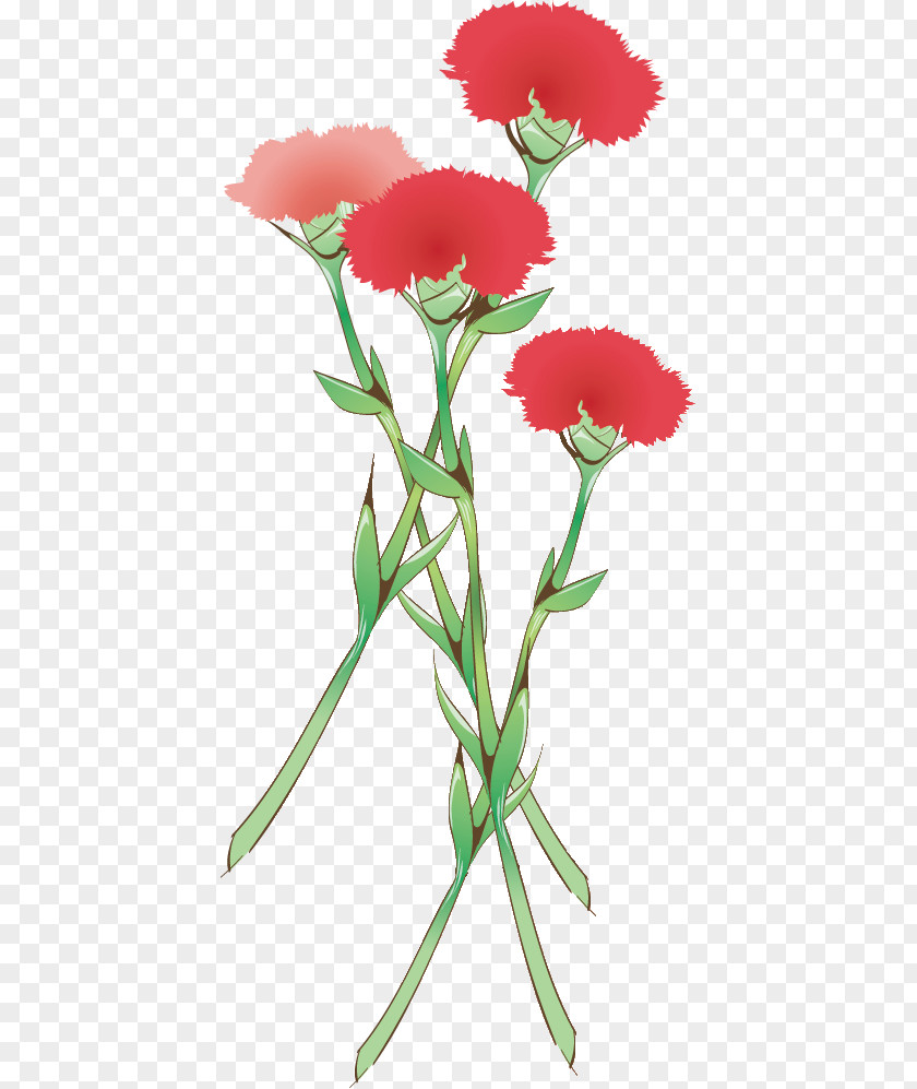 May Month Carnation Mother's Day Parents' PNG
