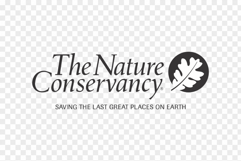 Nature Conservation Brand Logo Product Design Font PNG