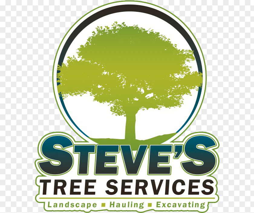 Tree Steve's Services, Landscape, Hauling & Excavating Pruning Stump Grinder Logo PNG