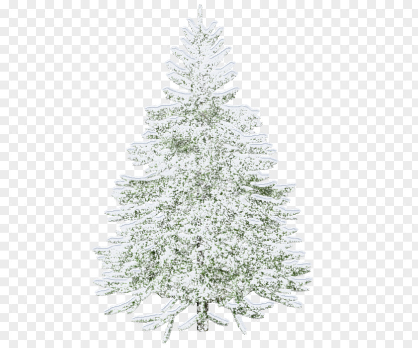 Christmas Tree Light White PNG