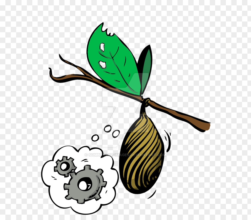 Circumstances Button Butterfly Insect Clip Art Leaf Plant Stem PNG
