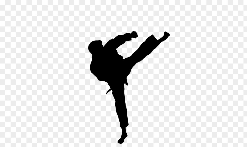 Fight Karate Roundhouse Kick Martial Arts Taekwondo PNG