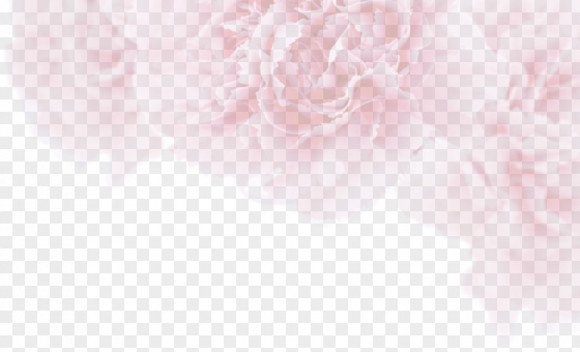 Pale Pink Flowers Background Element PNG pink flowers background element clipart PNG