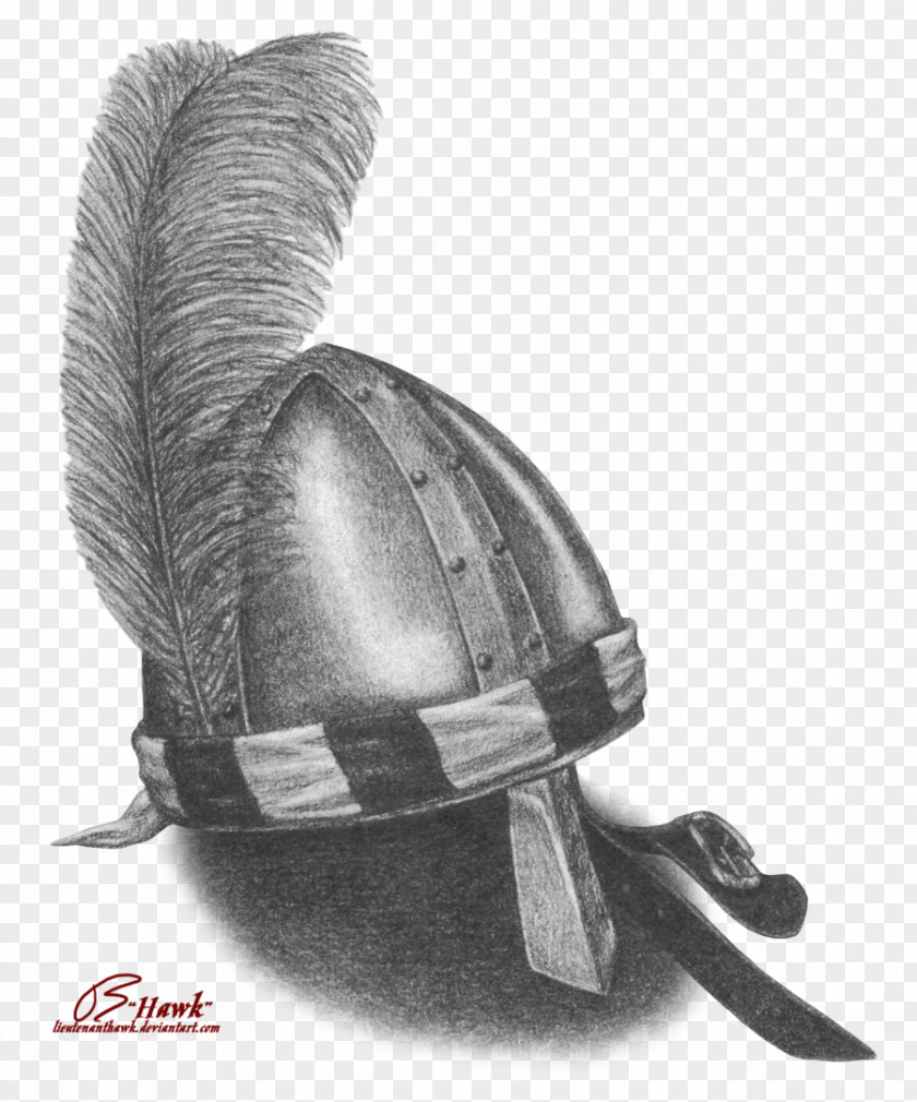 Red Tail Hawk Feathers Helmet Drawing Art Crusades Image PNG