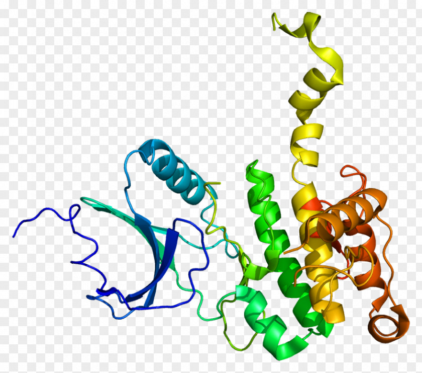 Serine/threonine-specific Protein Kinase MKNK2 PNG