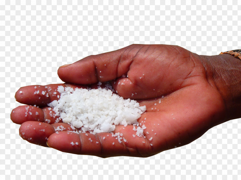 Holding White Salt Iodine Deficiency Flavor Taste Food PNG