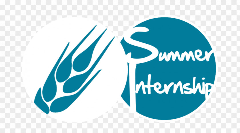 Internship Intern Logo Training Career Brand PNG