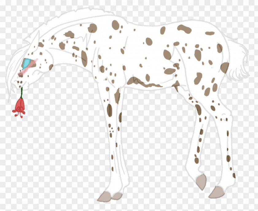 Leap Ing Cheetah Dalmatian Dog Horse Non-sporting Group Pack Animal Line PNG