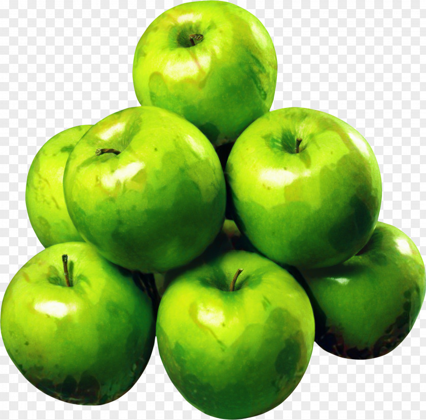 Malus Seedless Fruit Apple Cartoon PNG