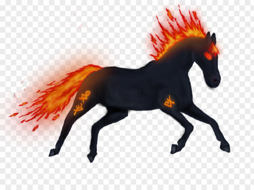 Mustang Stallion Pony Halter Mane PNG