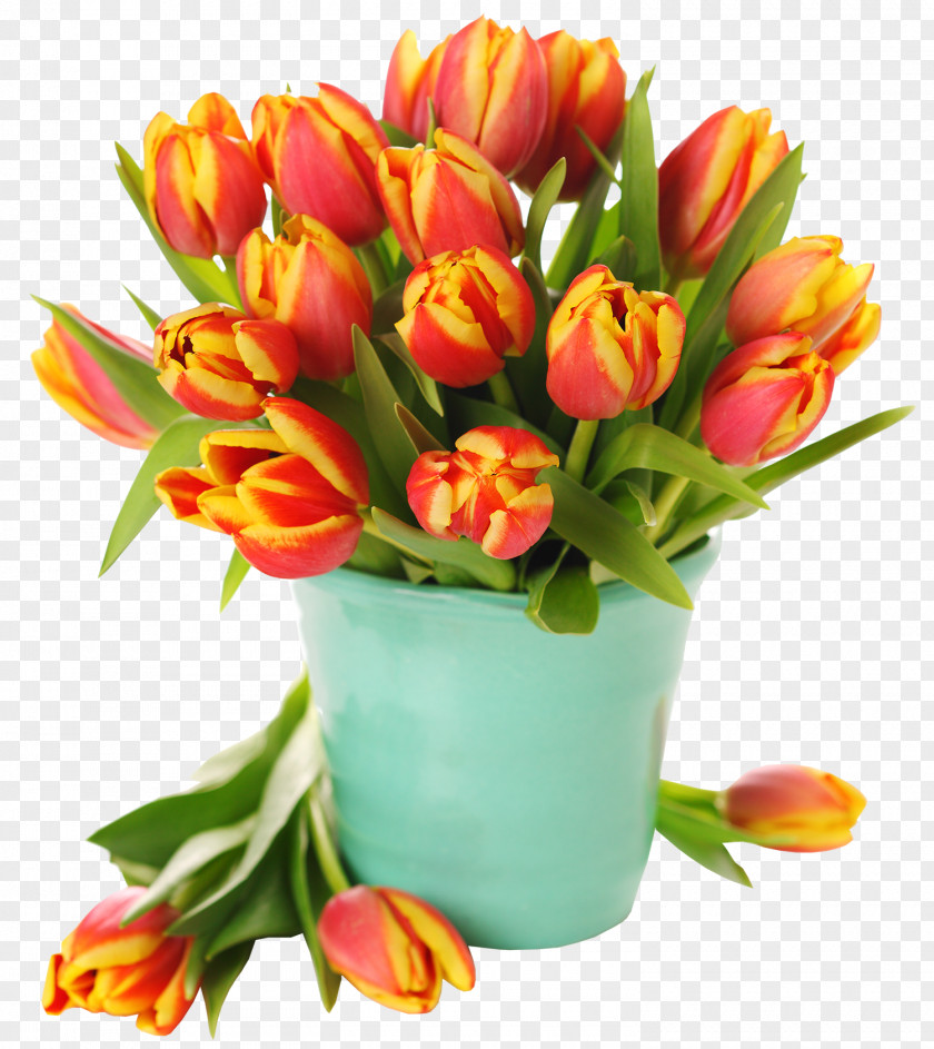 Tulip Easter Egg Flower Desktop Wallpaper PNG