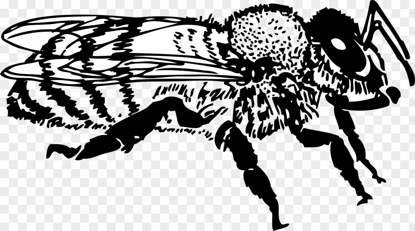 Beehive Honey Bee Clip Art PNG