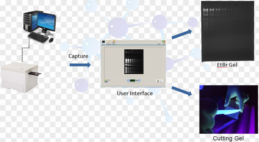 Cas9 Gel Doc Ethidium Bromide Electronics PNG